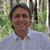 DANIEL TAROPPIO